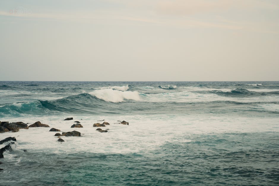 Drink: Sea Breeze