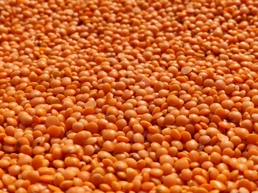 Receita: Salada morna de lentilhas com legumes assados