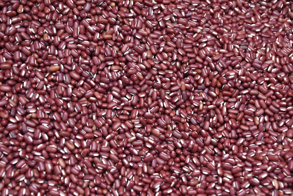 Receita: Lasanha de legumes grelhados